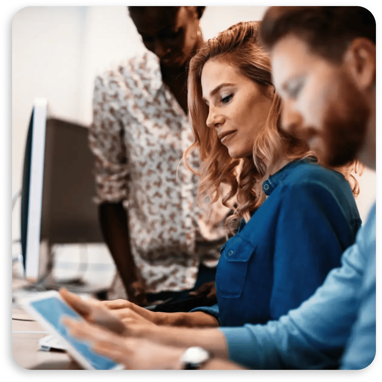 ALM - Accordian 2 - IMG-03