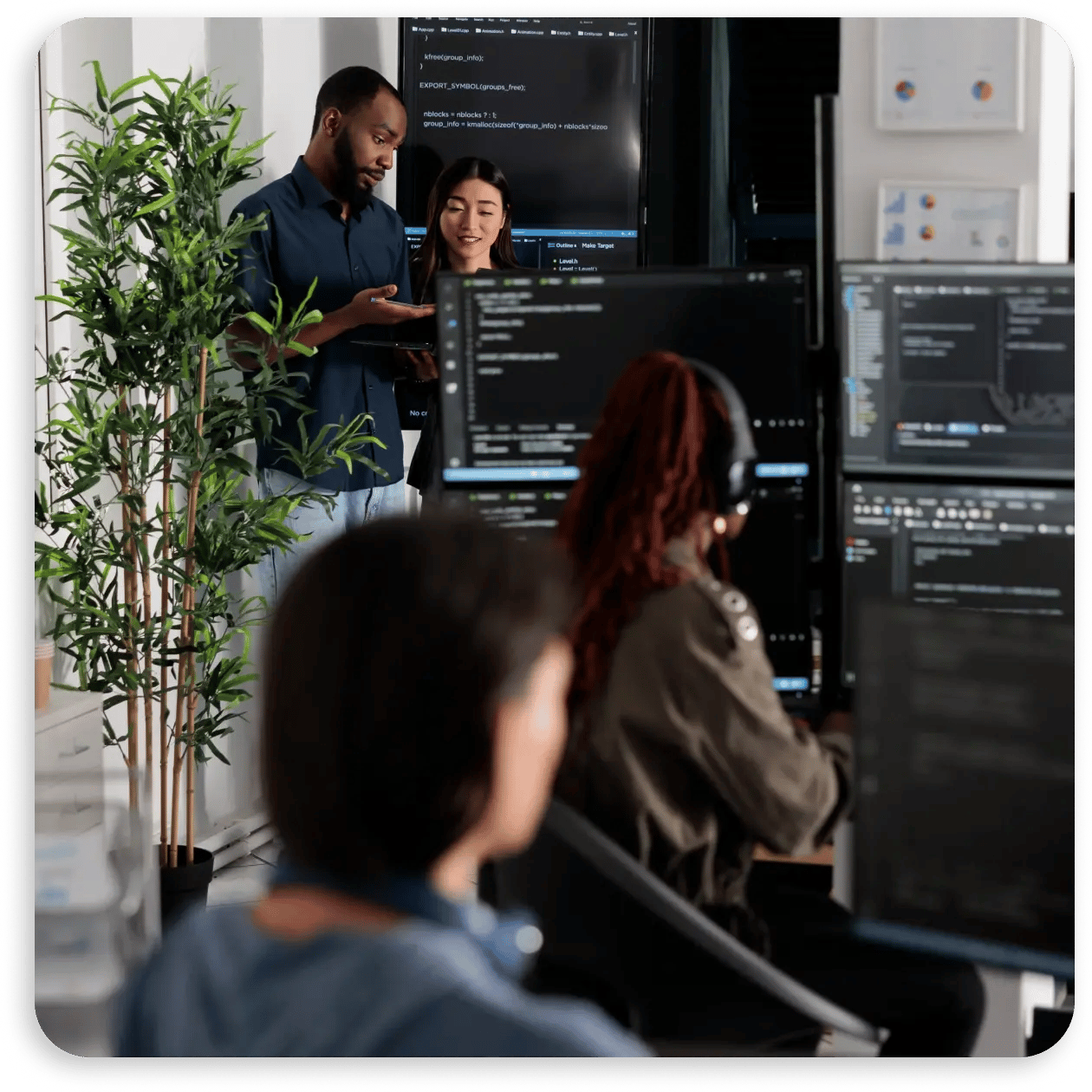 AVD - Accordian 1 - IMG-04@1x